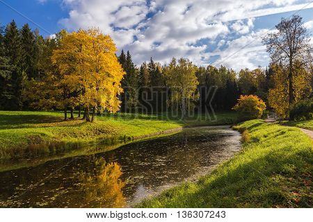 Autumn pond and yellow leaves on the trees, Heap clouds and the long evening shadows. The edge of the forest