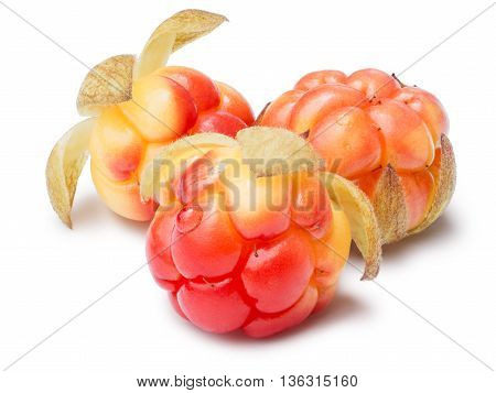 Three Cloudberries (rubus Chamaemorus)