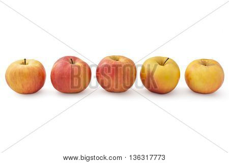 Five raw organic idared apples in a row, isolated on white background