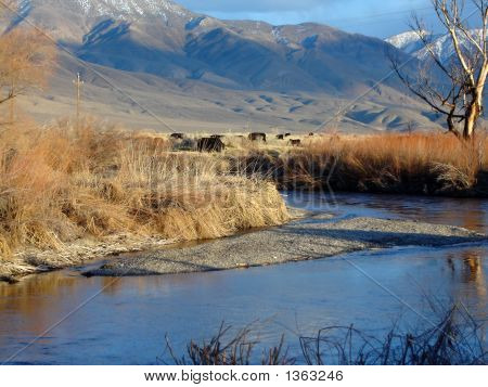 Owens River
