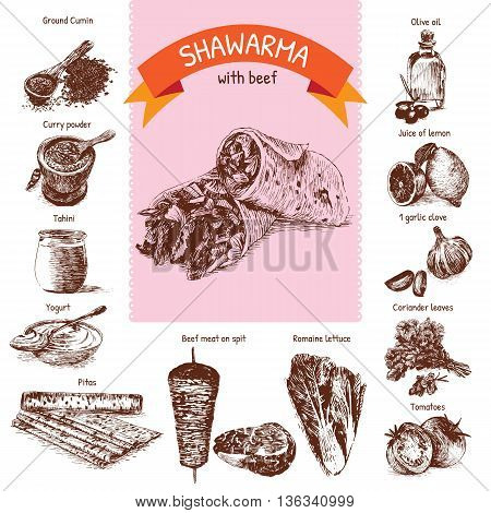 Vector illustration of shawarma ingredients with beef. Hand drawn colorful illustration on white background