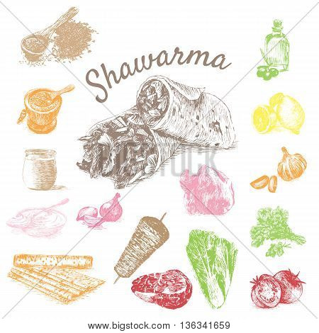 Vector illustration of shawarma ingredients with beef. Hand drawn colorful illustration on white background