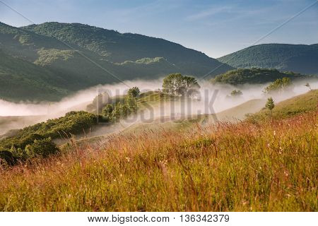 Misty morning in the Apuseni Mountains near Salciua, Romania
