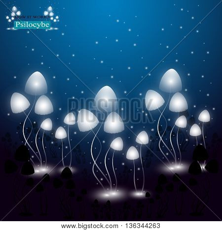 Hallucinogenic Mushrooms Psilocybe