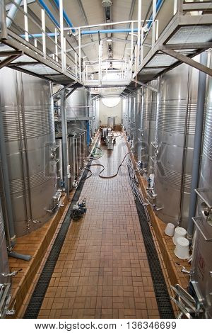Jose Ferrer Vineyard