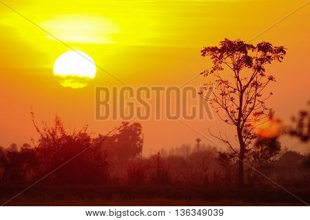 the sunrise and mountain in the moring