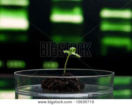 Biotechnologie výzkum