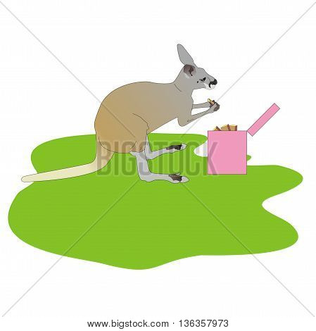 Illustration grey kangaroo eating crackers in picnic meadow