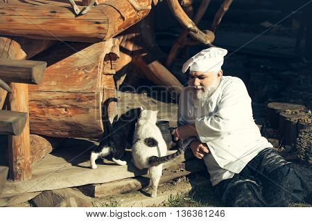 Bearded Cook With Kettle And Cats