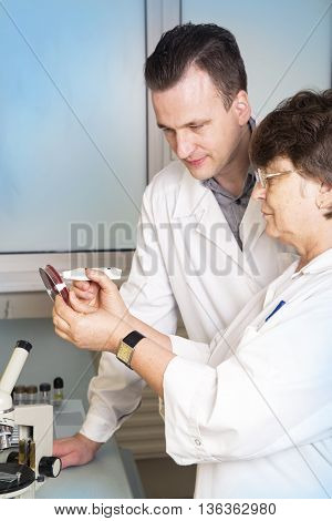 Microbiologist hand cultivating a petri dish whit inoculation loops beside autoclave for sterilising