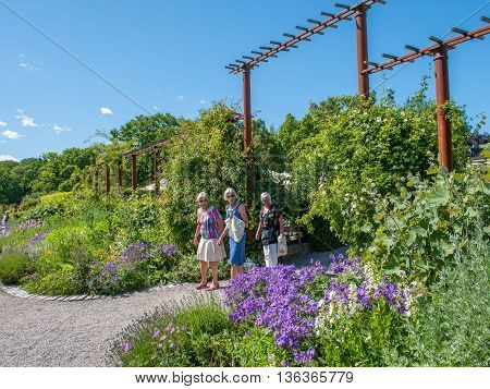 STOCKHOLM - JUNE 24: Rosendals garden  in Stockholm. .  Rosendal is a historic public garden known as one of the best places for having a coffee in Stockholm.