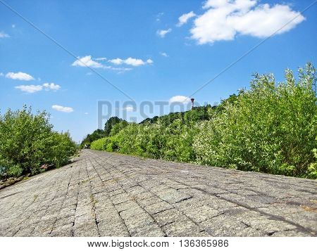 Dike / levee near river Elbe Hamburg Germany - green bushes and blue sky with clouds