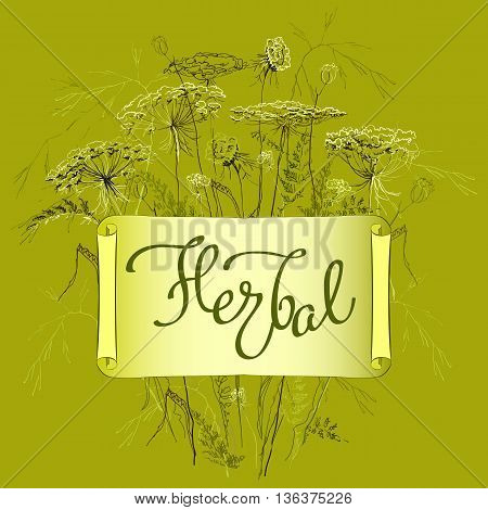 Hand-draw label template with wild flowers and herbs. Herbal lettering calligraphy card. Design for herbal cosmetics, natural and organic product store, package. Vector illustration stock vector.
