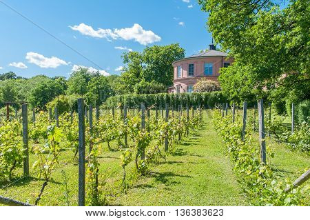 STOCKHOLM - JUNE 24, 2009: The Orangery at Rosendals garden in Stockholm.  Rosendal is a historic public garden known as one of the best places for having a coffee in Stockholm.