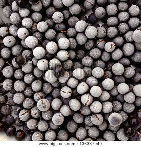 Sloes defrosting ready to make sloe gin