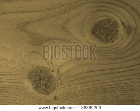Larch Wood Background Sepia