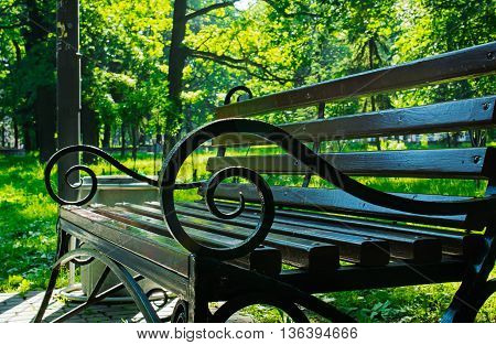 bench in summer park with nobody. close up