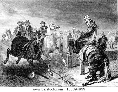 Exhibition 1852, A Scene of Marche horses, vintage engraved illustration. Magasin Pittoresque 1852.