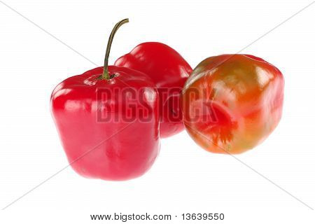 Rocoto พริกเปรู