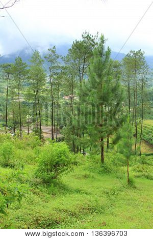 Beautiful Cloudy Sky Mountain Hills View Scenery