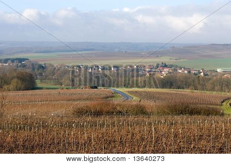 Bağlar, Champagne, Fransa