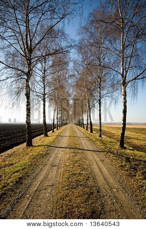Ülke Lane, Almanya