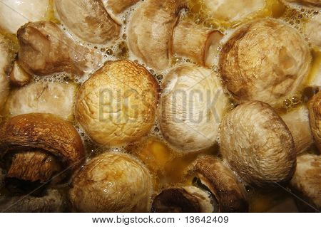 เห็ดอาหารเนย