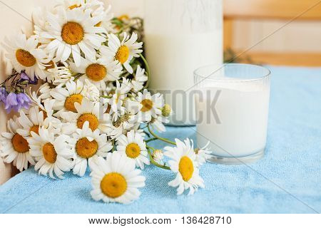 Simply stylish wooden kitchen with bottle of milk and glass on table, summer flowers camomile, healthy foog moring concept noone