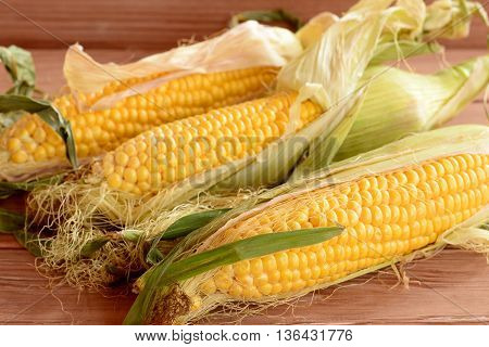 Fresh corn on the cob on a wooden table. Raw organic vegetables. Closeup