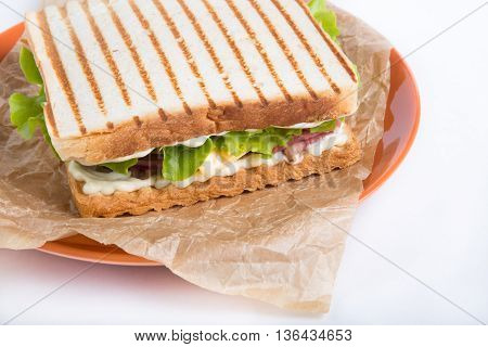 Grilled sandwhich on a plate on a white background