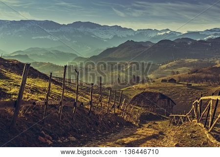 Romanian Morning Rural Scenery