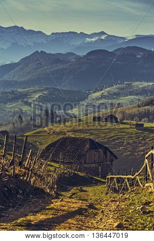 Romanian Rural Scene