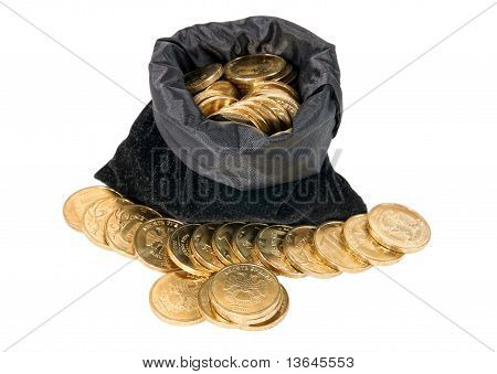 Money Coins In Bag Isolated On White