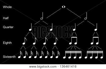 Types of musical notes, white on black background