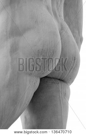 ass of the statue of marble with white solid buttocks