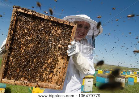 Horizontal front view of one woman beekeeper holding the honeycomb of a beehive with bees swarming