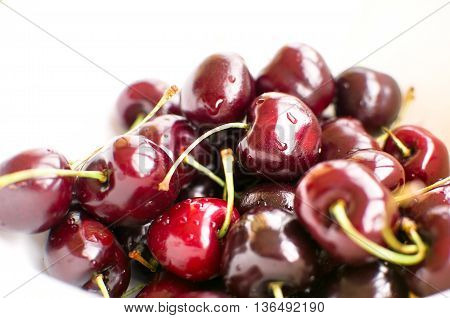 big black cherries called Duroni typical from Vignola italy white background
