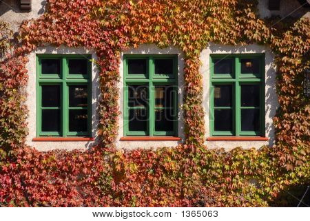 Windows