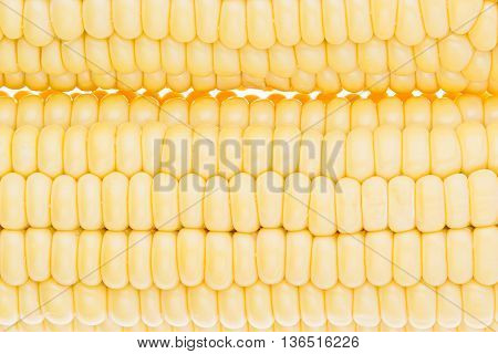 Corn cobs clouseup. Corn grains. Texture. Food background.
