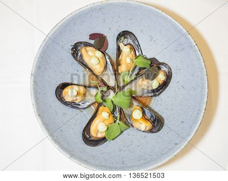 a dish created on the new nordic inspiration