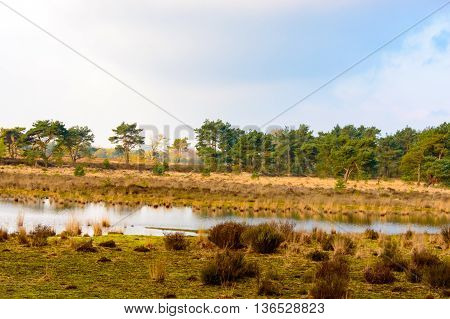 Tranquil rural lake in a scenic landscape with trees golden grassland and scattered scrub and the far bank reflected on the surface of the water