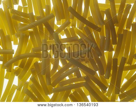 maccheroni pasta with back lighting