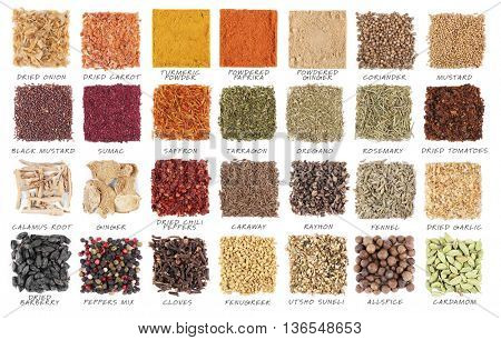 Set of different spices isolated on white background
