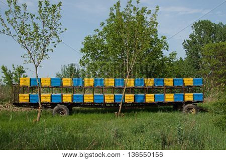 Beehives mounted on a trailer. Portable apiary. Apiary trailer.
