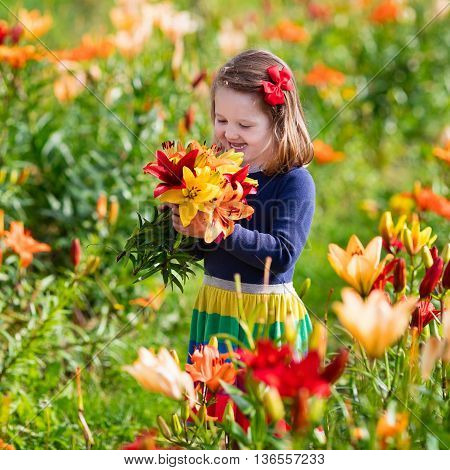 Cute little girl picking lily flowers in blooming summer garden. Child holding lilies bouquet in beautiful flower field. Kid gardening. Lilly plants in flower bed. Preschooler smells picked blossoms.