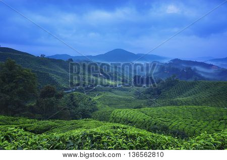 Viewpoint on the top of cameron highland tea valley and sunrise in Malaysia.