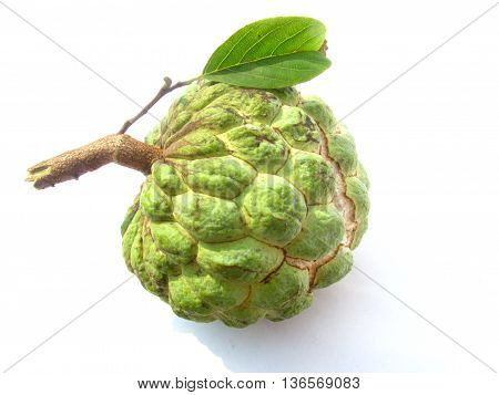 Annona squamosa (also called sugar-pineapple or sweetsop) or custard-pineapple