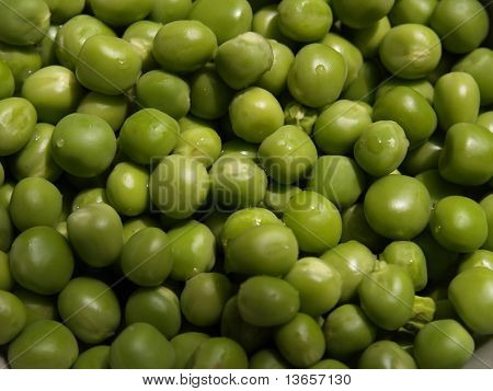 Garten-Erbse