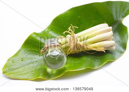 Natural Spa Ingredients Lemongrass essential Oil with Aromatherapy