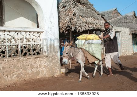 Locals Using A Donkey For Transport In Lamu, Kenya